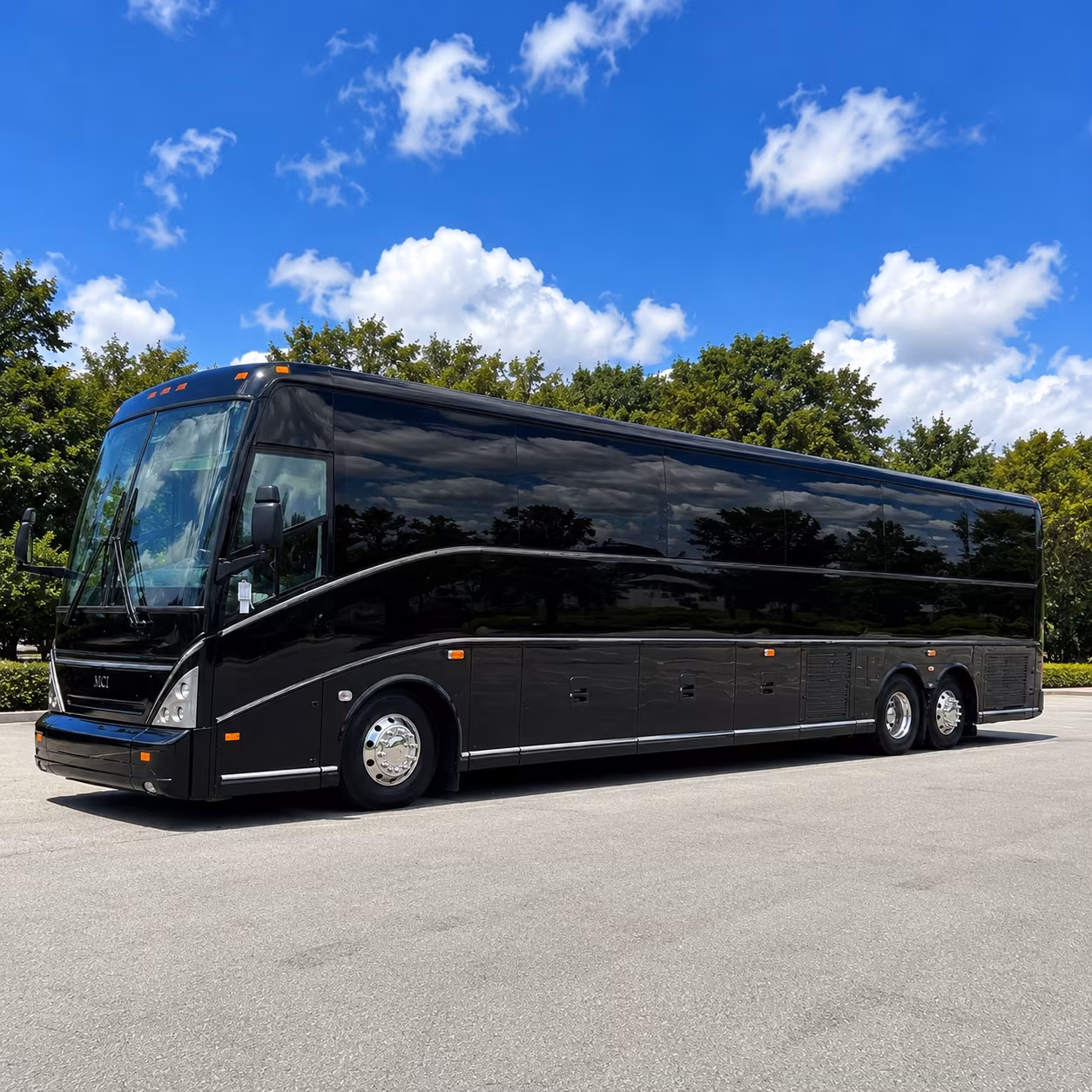 transportation to cape may county park zoo free admission easy bus access
